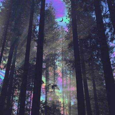 半岛bob综合登入手机app下载